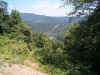 Area east of Gauley, Bridge, WV. Plenty of hills and curves...6-01picture27.jpg (76907 bytes)