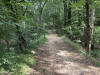 Old Natchez Trail....